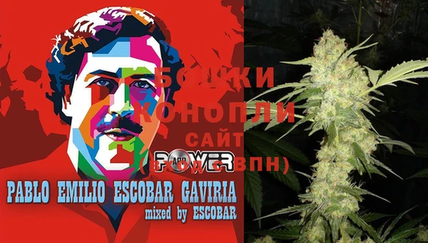 прущая мука Нея
