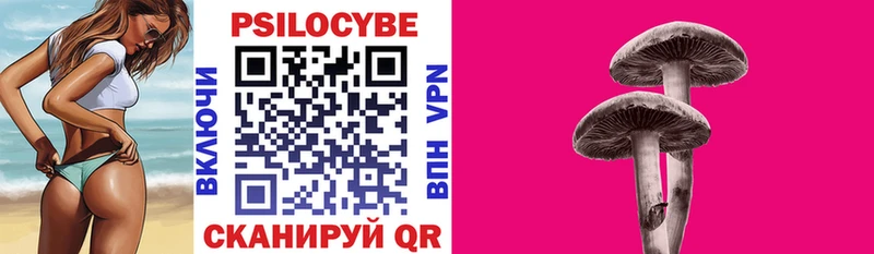 закладка  Мосальск  Псилоцибиновые грибы мухоморы 
